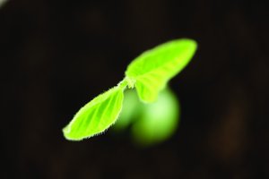 架构评审
